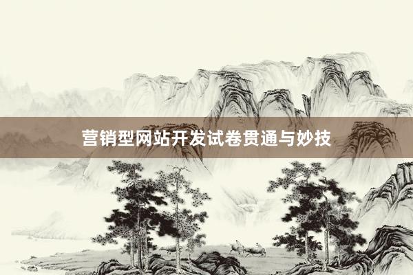营销型网站开发试卷贯通与妙技