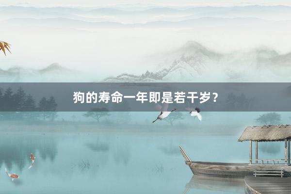 狗的寿命一年即是若干岁?